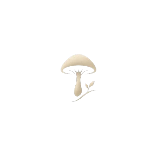 Enki Logo